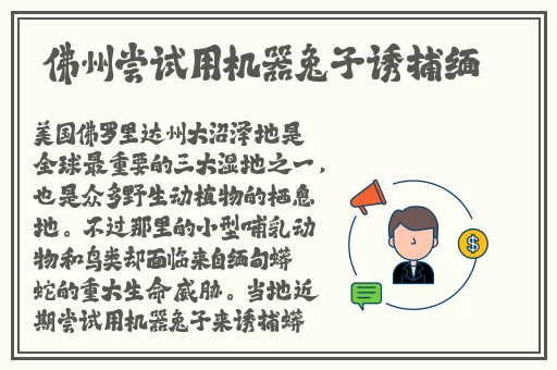 麻豆乌鸦果冻精东传媒