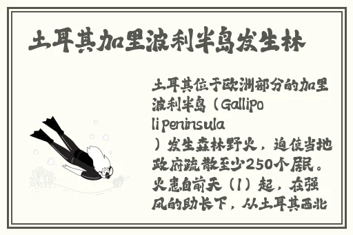 XXXXXL18–79蘑菇